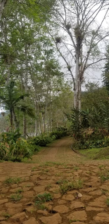 Sendero Ecológico